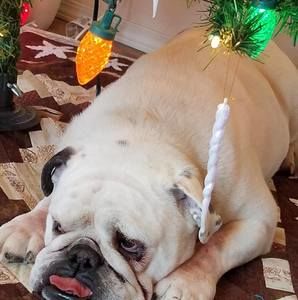 Meet your Posher, Pat